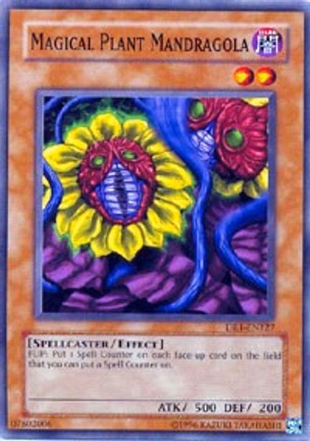 Magical Plant Mandragola