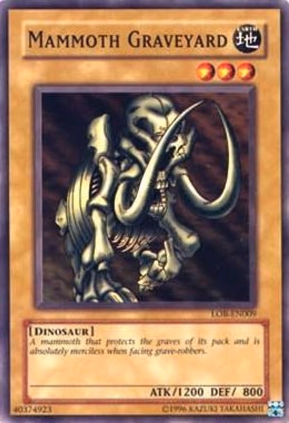 Mammoth Graveyard