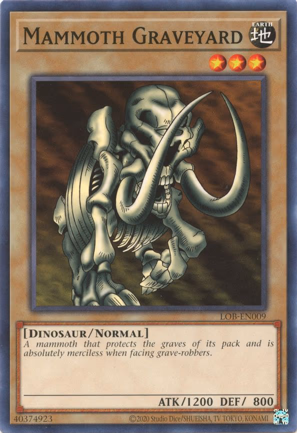 Mammoth Graveyard