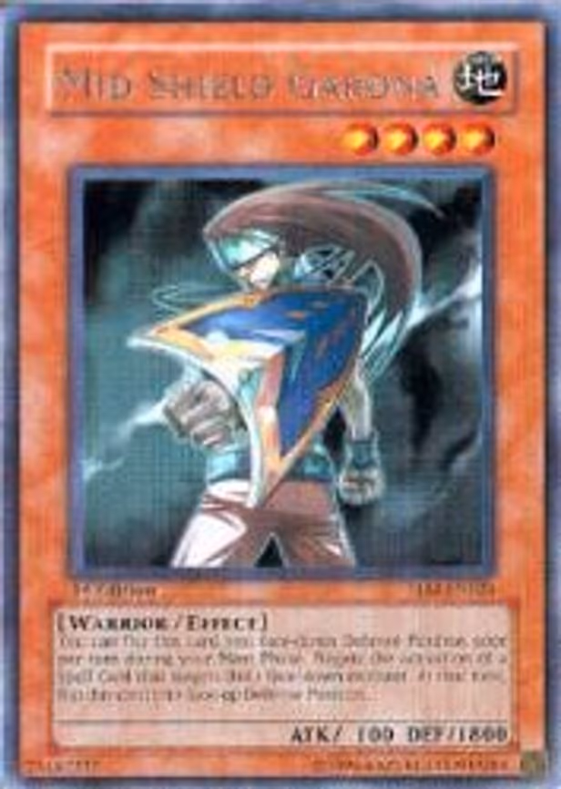 Mid Shield Gardna