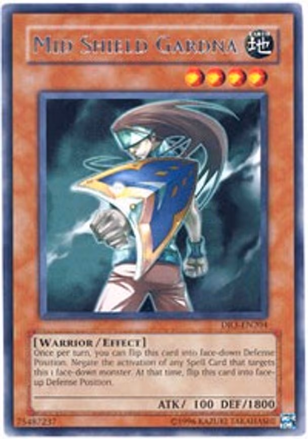 Mid Shield Gardna