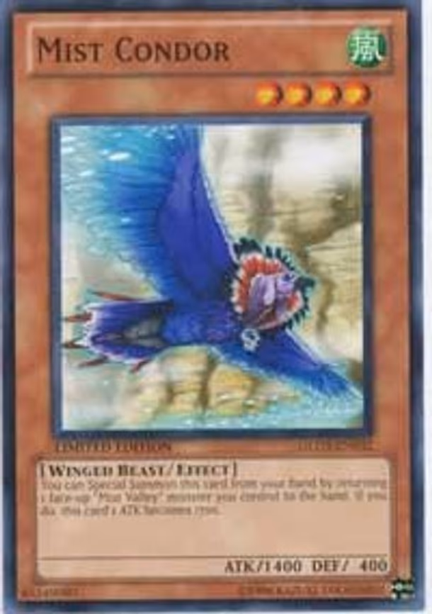 Mist Condor