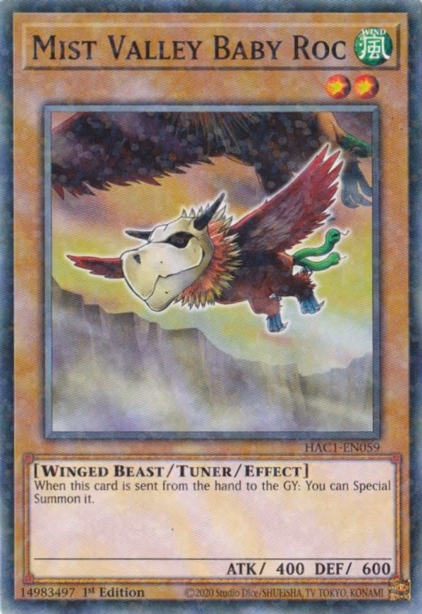 Mist Valley Baby Roc (Duel Terminal)