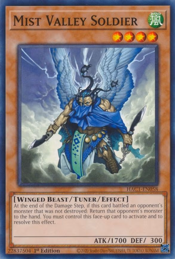 Mist Valley Soldier
