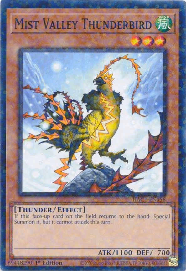 Mist Valley Thunderbird (Duel Terminal)