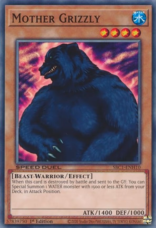 Mother Grizzly