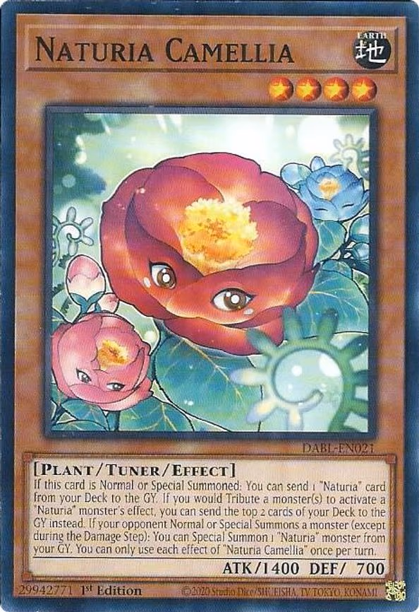 Naturia Camellia