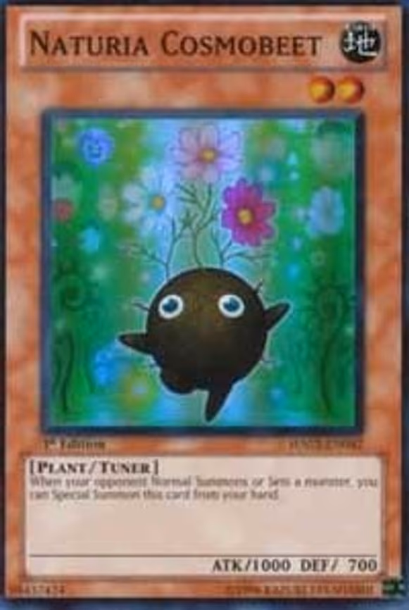 Naturia Cosmobeet