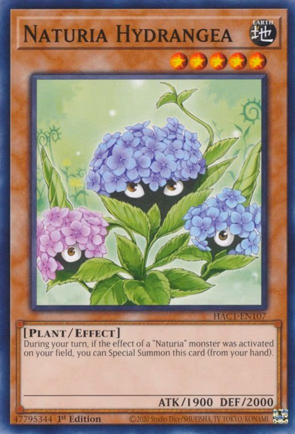 Naturia Hydrangea