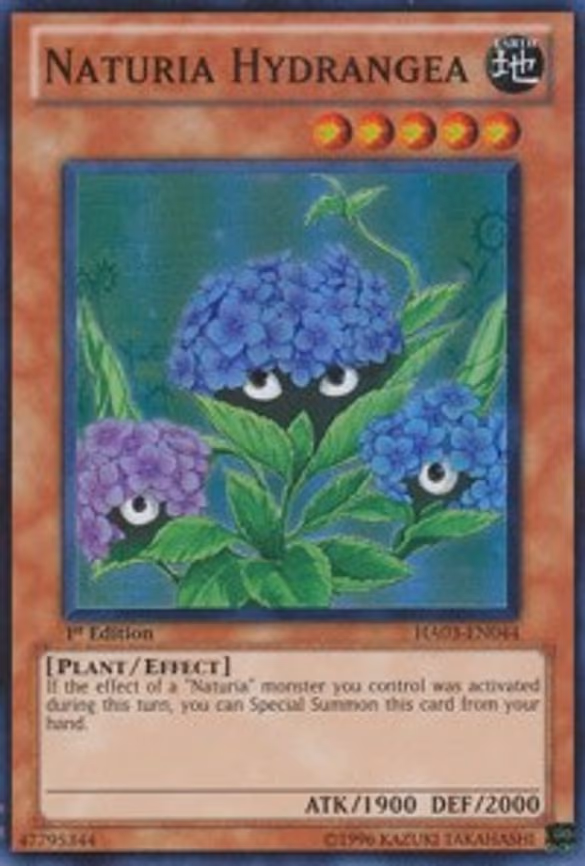 Naturia Hydrangea