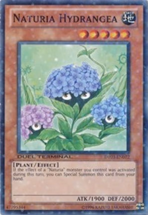 Naturia Hydrangea