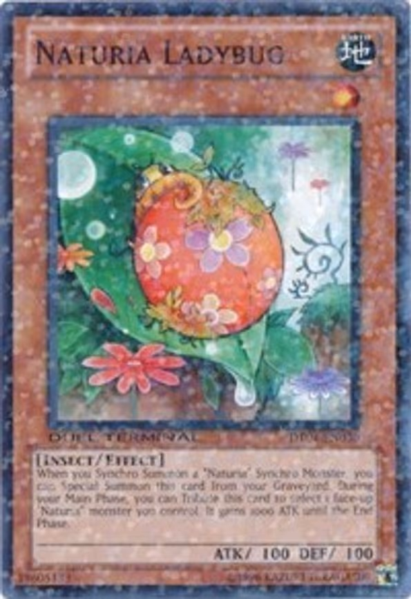 Naturia Ladybug