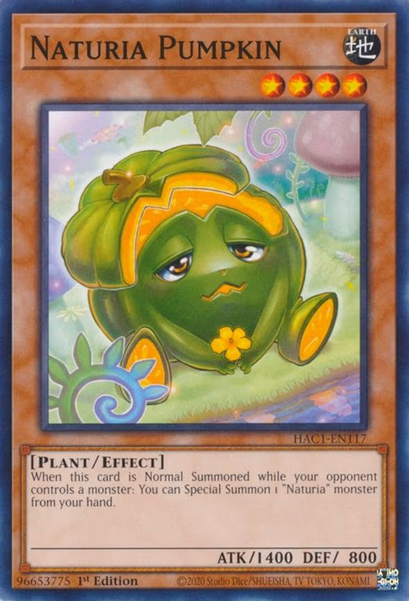 Naturia Pumpkin