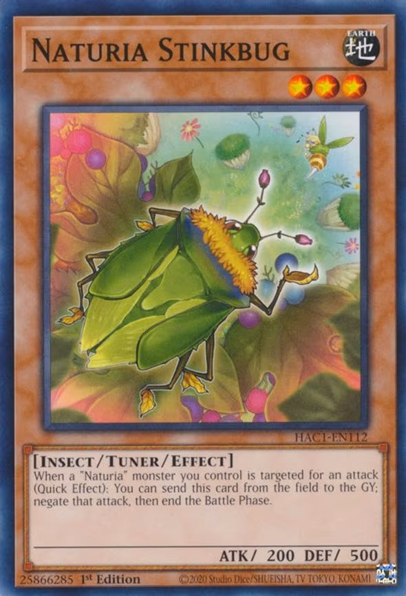 Naturia Stinkbug