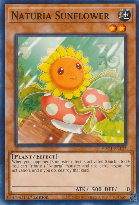 Naturia Sunflower