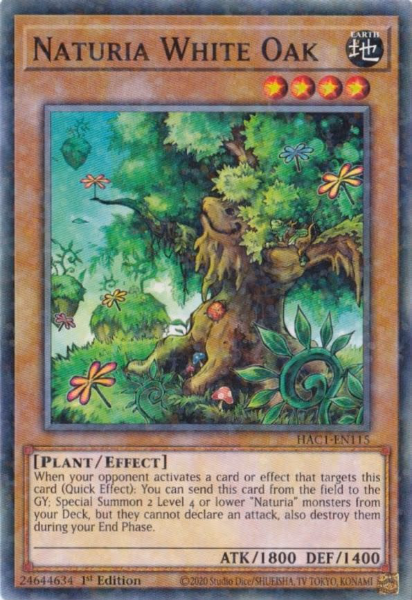 Naturia White Oak (Duel Terminal)