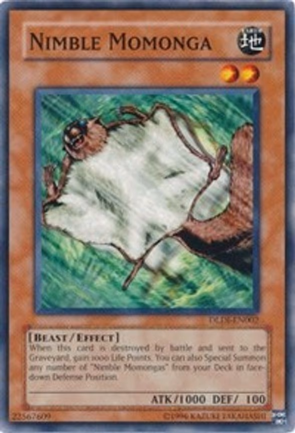 Nimble Momonga