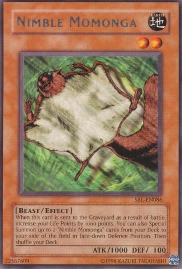 Nimble Momonga