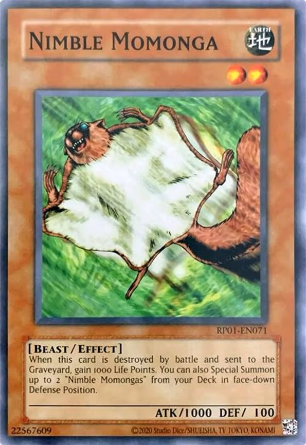 Nimble Momonga
