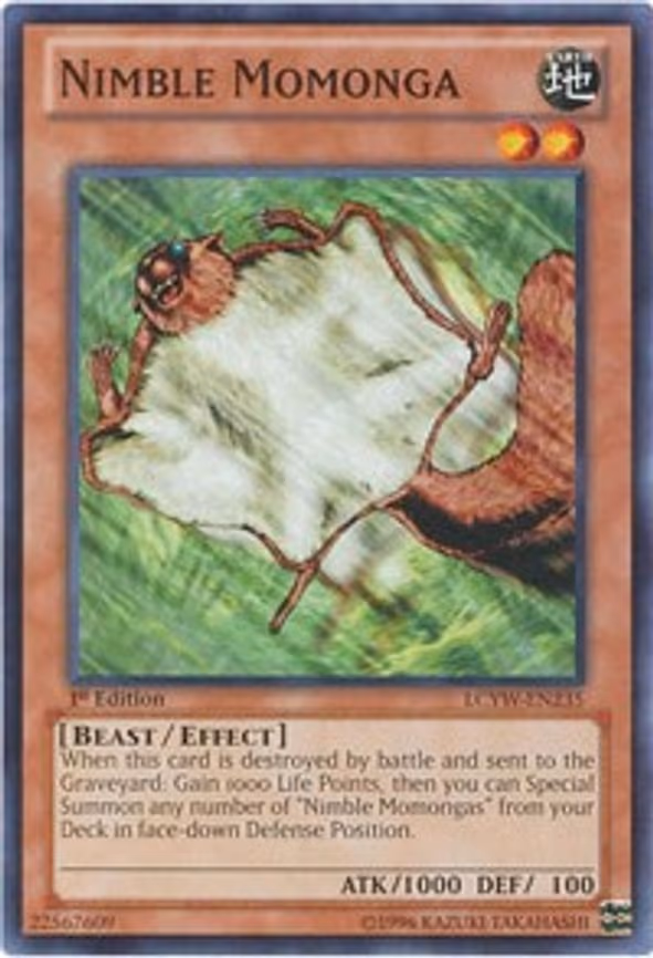 Nimble Momonga