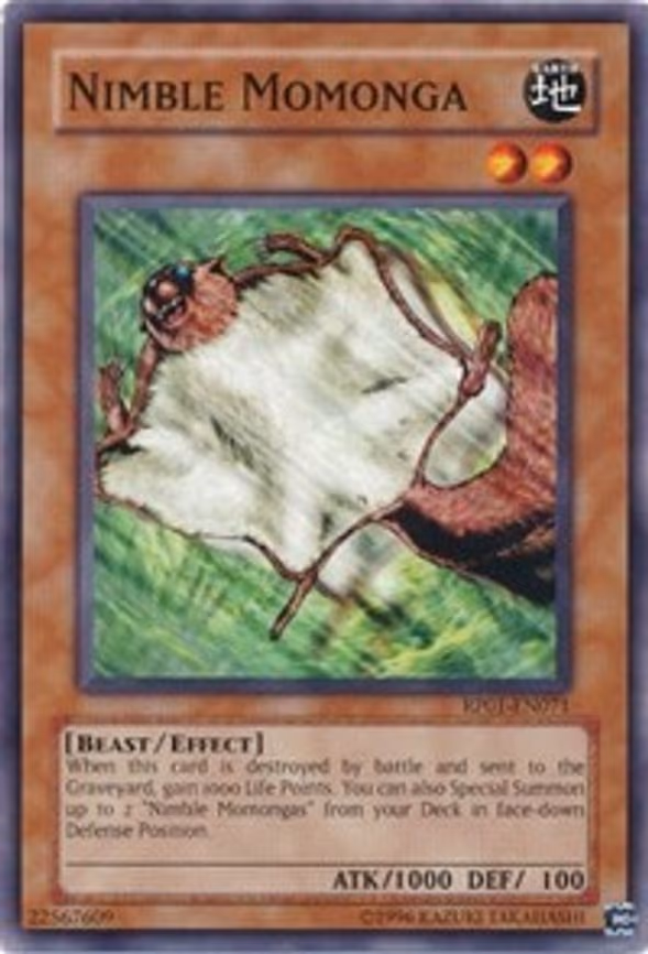 Nimble Momonga