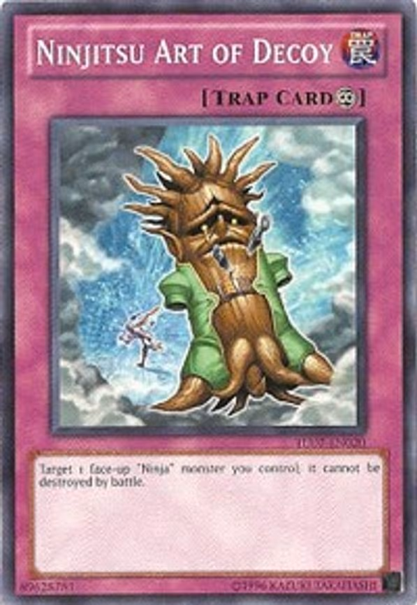 Ninjitsu Art of Decoy