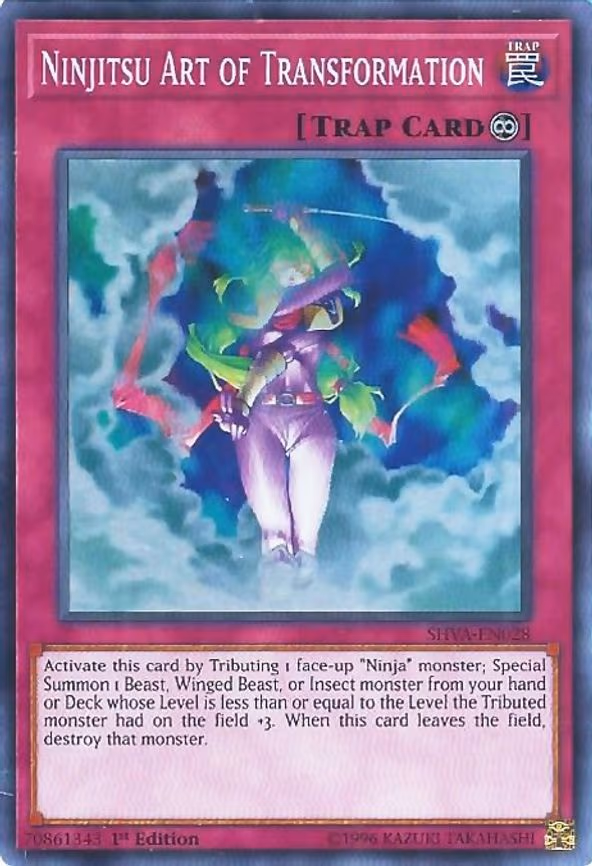 Ninjitsu Art of Transformation