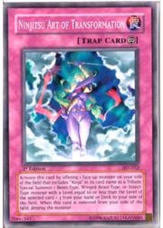 Ninjitsu Art of Transformation