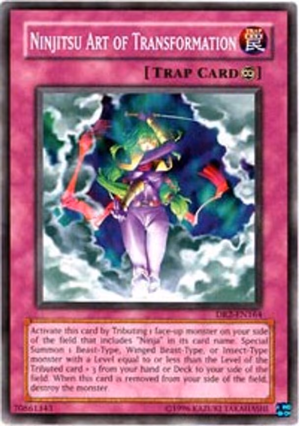 Ninjitsu Art of Transformation