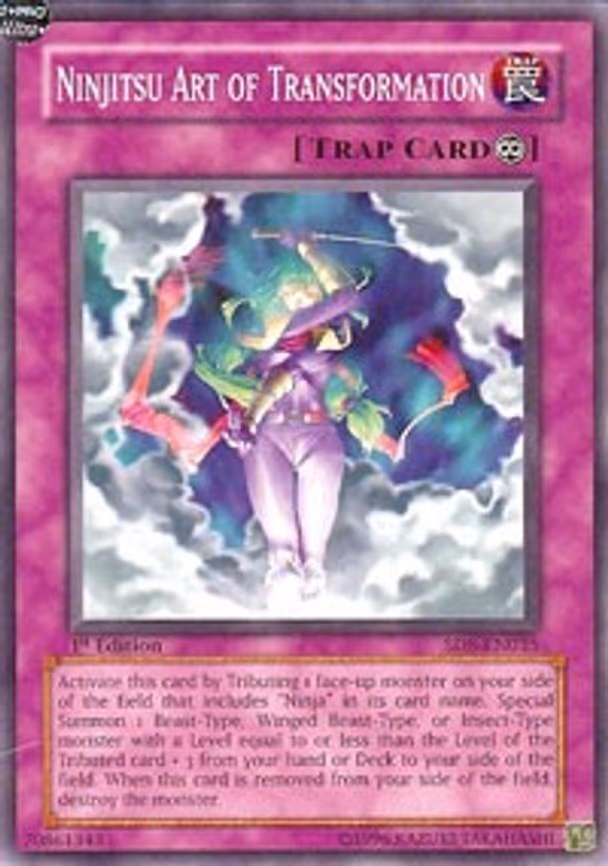Ninjitsu Art of Transformation