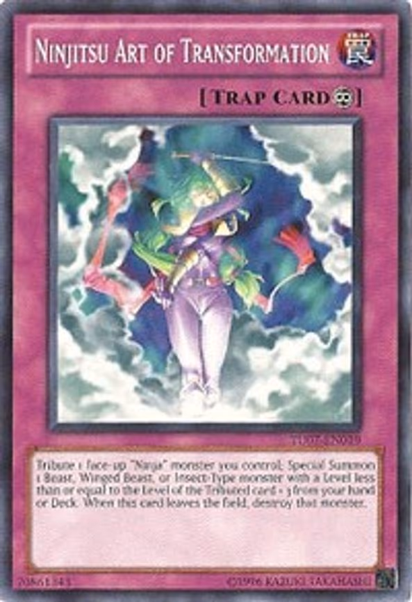 Ninjitsu Art of Transformation