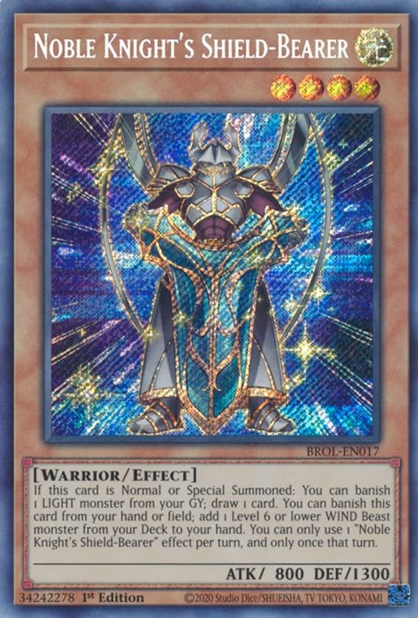 Noble Knight's Shield-Bearer