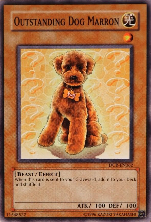 Outstanding Dog Marron