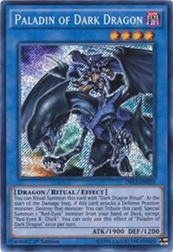 Paladin of Dark Dragon