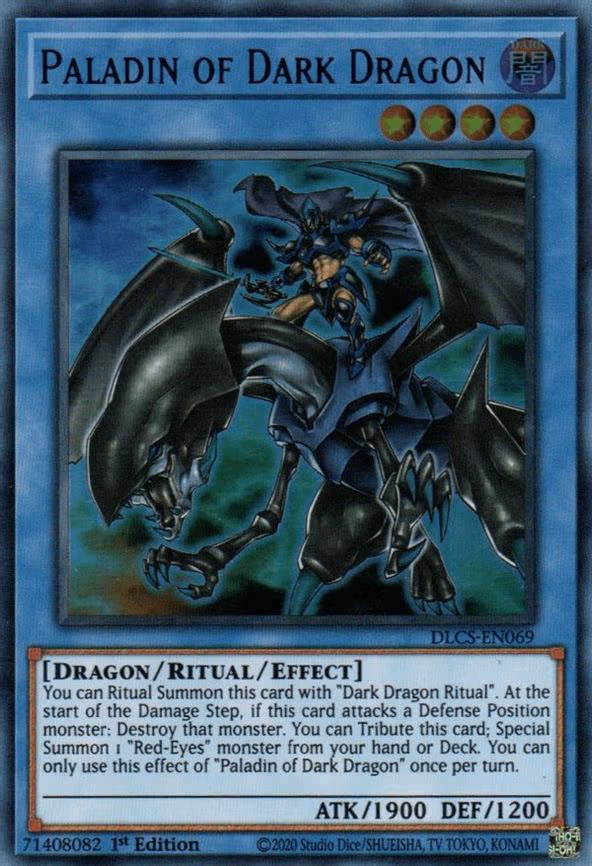 Paladin of Dark Dragon