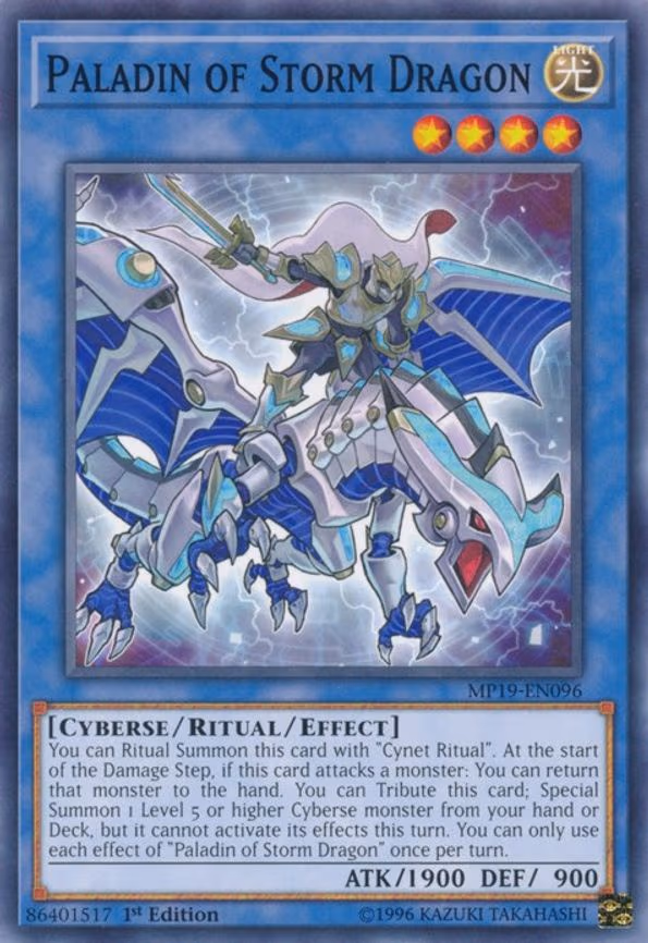 Paladin of Storm Dragon