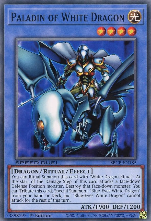 Paladin of White Dragon