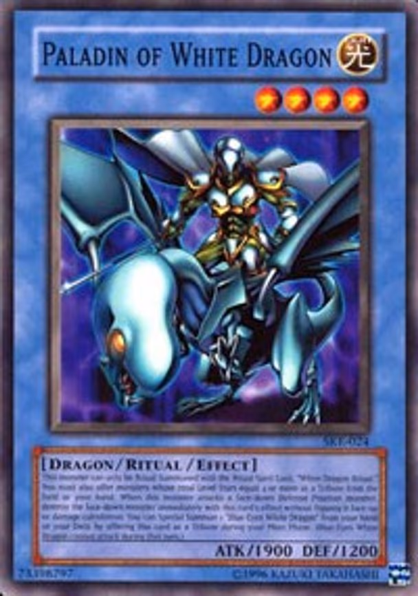 Paladin of White Dragon