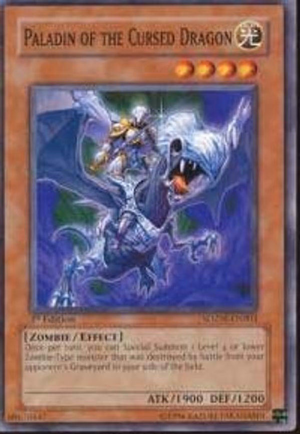 Paladin of the Cursed Dragon
