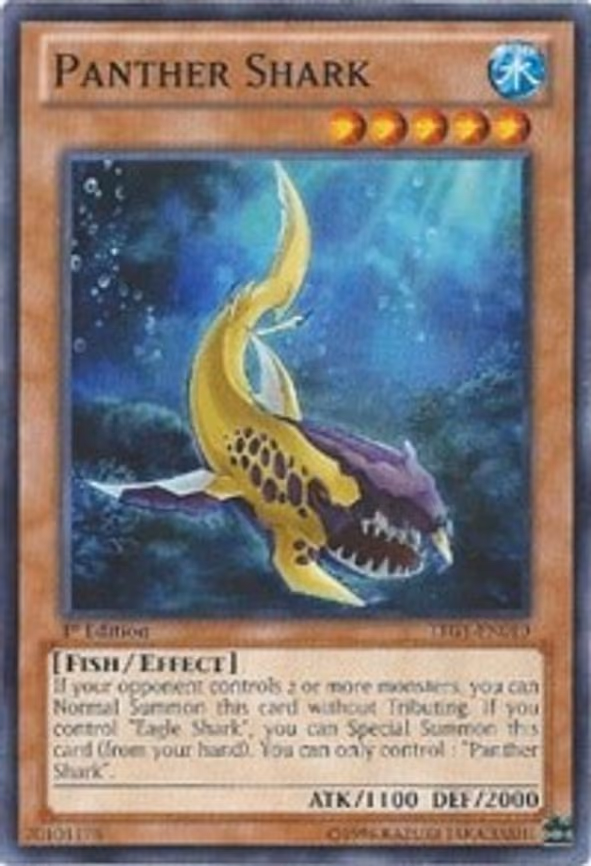 Panther Shark