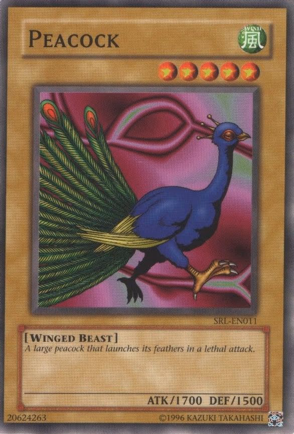 Peacock