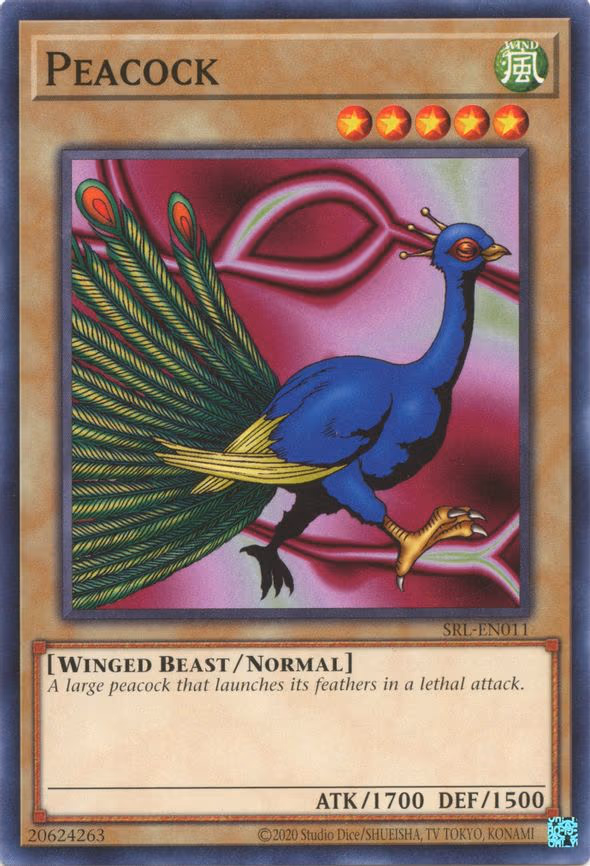 Peacock