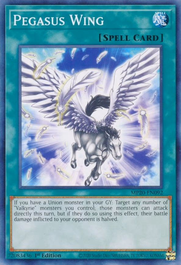 Pegasus Wing