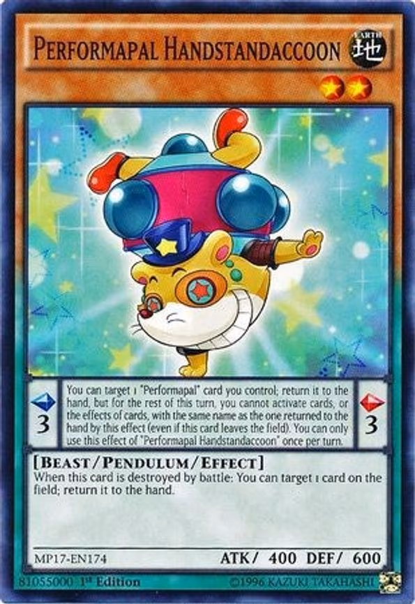 Performapal Handstandaccoon