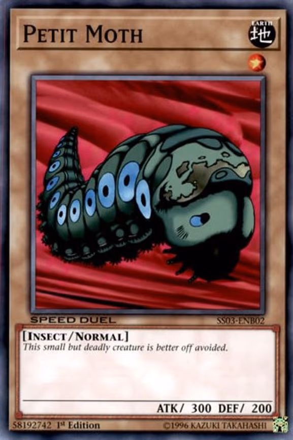Petit Moth