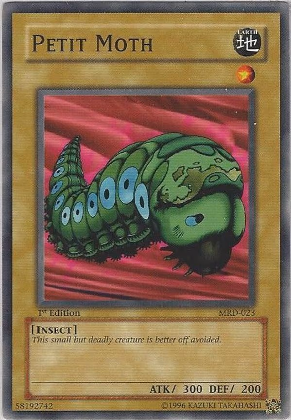 Petit Moth