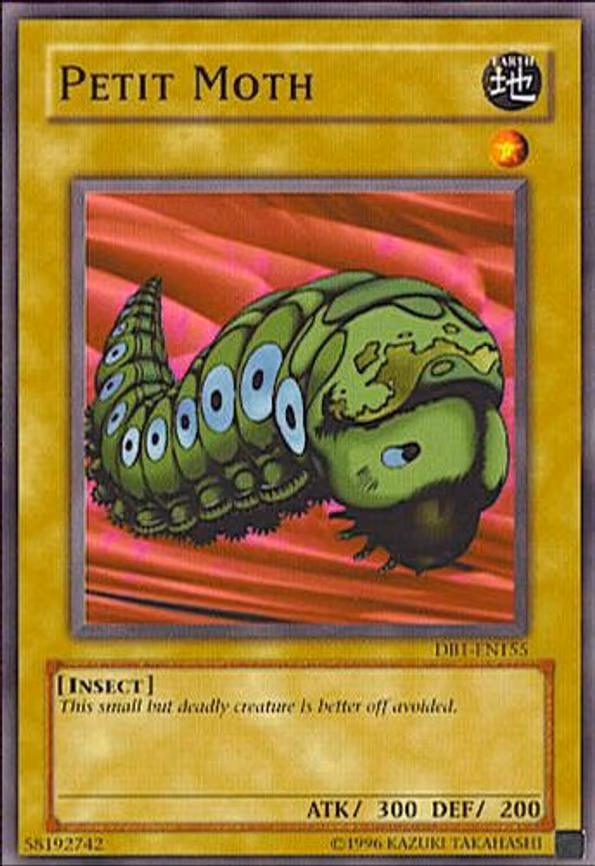 Petit Moth