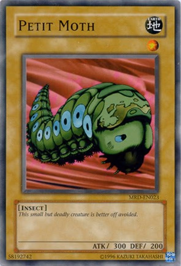 Petit Moth
