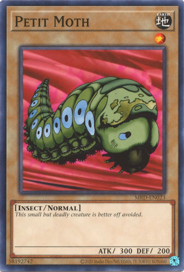Petit Moth