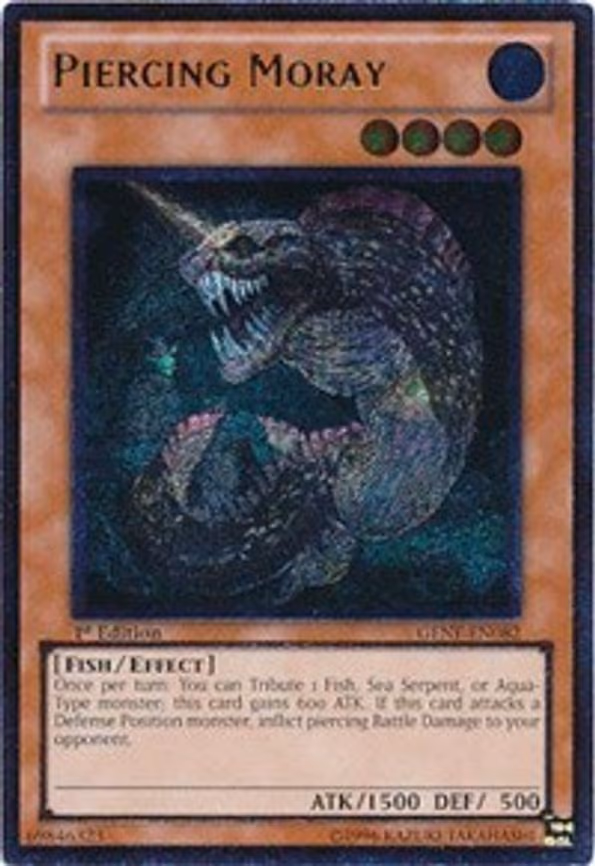 Piercing Moray
